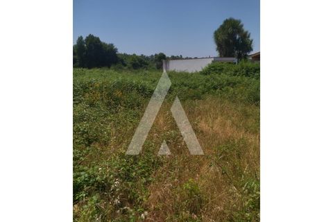 Helårsgrund i Ponte de Lima, Viana do Castelo, Ponte de Lima - € 138.000 | Ref: 1350190/25VC - foto 6