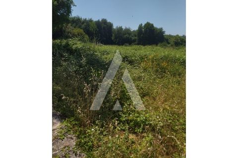Helårsgrund i Ponte de Lima, Viana do Castelo, Ponte de Lima - € 138.000 | Ref: 1350190/25VC - foto 7