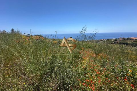 Helårsgrund i Calheta, Madeira, Calheta - € 450.000 | Ref: AG1244/2025 - foto 5