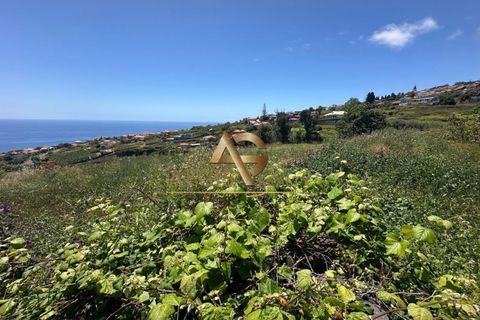 Helårsgrund i Calheta, Madeira, Calheta - € 450.000 | Ref: AG1244/2025 - foto 7