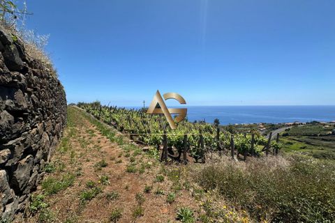 Helårsgrund i Calheta, Madeira, Calheta - € 450.000 | Ref: AG1244/2025 - foto 9