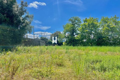 Landejendom i Braga, Braga, Braga - € 290.000 | Ref: 6603 - foto 10