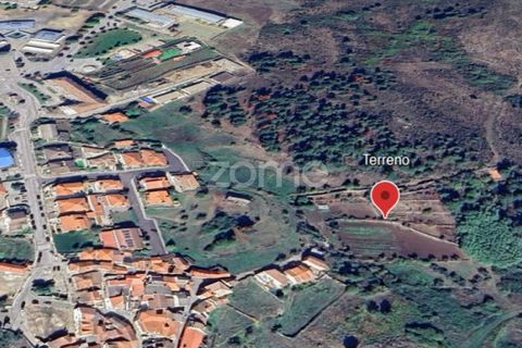 Farm i Moimenta da Beira, Viseu, Moimenta da Beira - € 250.000 | Ref: ZMPT577570 - foto 1