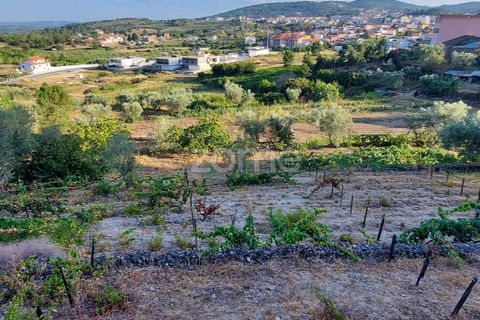 Farm i Moimenta da Beira, Viseu, Moimenta da Beira - € 250.000 | Ref: ZMPT577570 - foto 2