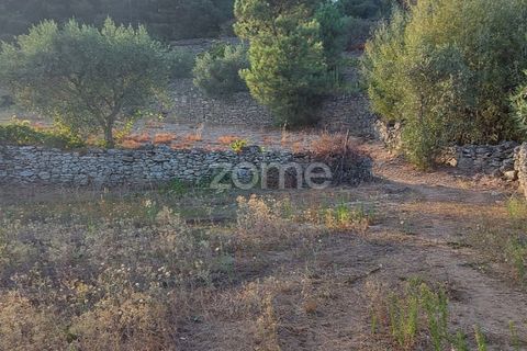 Farm i Moimenta da Beira, Viseu, Moimenta da Beira - € 250.000 | Ref: ZMPT577570 - foto 3