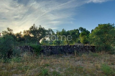 Farm i Moimenta da Beira, Viseu, Moimenta da Beira - € 250.000 | Ref: ZMPT577570 - foto 4