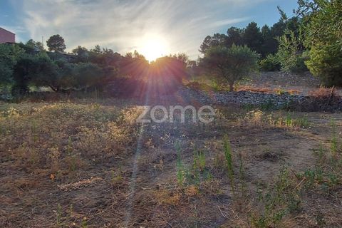 Farm i Moimenta da Beira, Viseu, Moimenta da Beira - € 250.000 | Ref: ZMPT577570 - foto 5