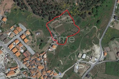 Farm i Moimenta da Beira, Viseu, Moimenta da Beira - € 250.000 | Ref: ZMPT577570 - foto 6