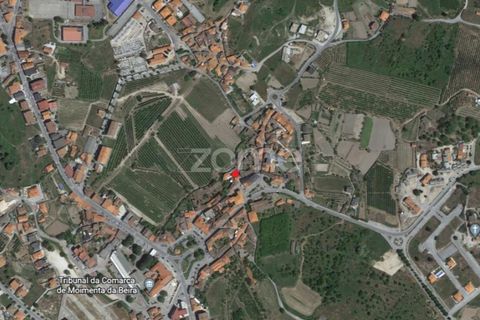 Farm i Moimenta da Beira, Viseu, Moimenta da Beira - € 250.000 | Ref: ZMPT577570 - foto 7