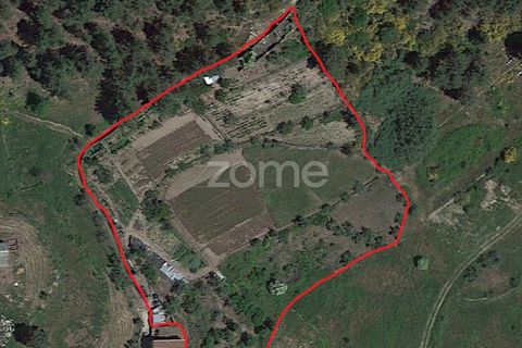 Farm i Moimenta da Beira, Viseu, Moimenta da Beira - € 250.000 | Ref: ZMPT577570 - foto 8