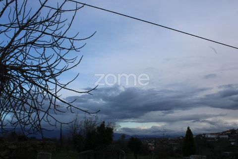 Farm i Moimenta da Beira, Viseu, Moimenta da Beira - € 250.000 | Ref: ZMPT577570 - foto 10