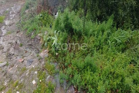 Farm i Moimenta da Beira, Viseu, Moimenta da Beira - € 250.000 | Ref: ZMPT577570 - foto 12