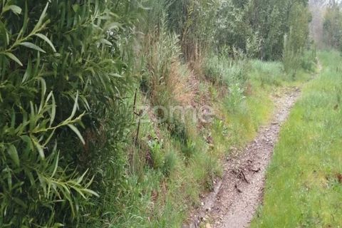 Farm i Moimenta da Beira, Viseu, Moimenta da Beira - € 250.000 | Ref: ZMPT577570 - foto 14