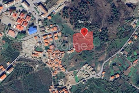 Farm i Moimenta da Beira, Viseu, Moimenta da Beira - € 250.000 | Ref: ZMPT577570 - foto 17