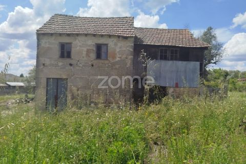 Villa i Oliveira do Conde, Viseu, Oliveira do Conde - € 22.999 | Ref: ZMPT577576 - foto 2