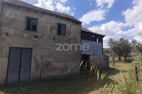 Villa i Oliveira do Conde, Viseu, Oliveira do Conde - € 22.999 | Ref: ZMPT577576 - foto 3