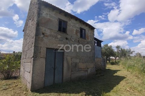 Villa i Oliveira do Conde, Viseu, Oliveira do Conde - € 22.999 | Ref: ZMPT577576 - foto 4