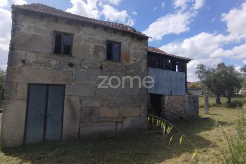 Villa i Oliveira do Conde, Viseu, Oliveira do Conde - € 22.999 | Ref: ZMPT577576 - foto 5