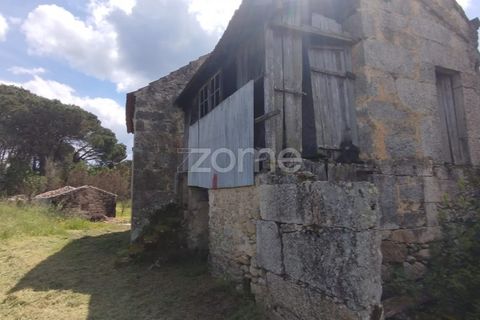 Villa i Oliveira do Conde, Viseu, Oliveira do Conde - € 22.999 | Ref: ZMPT577576 - foto 8
