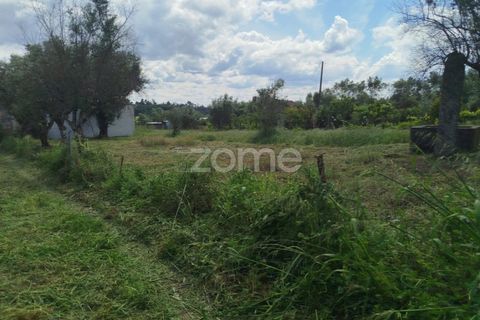 Villa i Oliveira do Conde, Viseu, Oliveira do Conde - € 22.999 | Ref: ZMPT577576 - foto 9