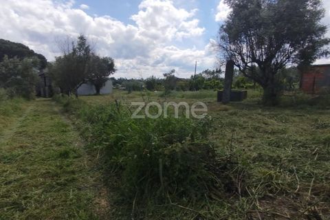 Villa i Oliveira do Conde, Viseu, Oliveira do Conde - € 22.999 | Ref: ZMPT577576 - foto 10