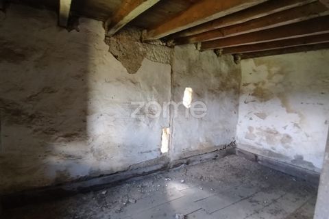 Villa i Oliveira do Conde, Viseu, Oliveira do Conde - € 22.999 | Ref: ZMPT577576 - foto 13