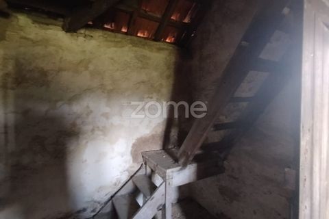 Villa i Oliveira do Conde, Viseu, Oliveira do Conde - € 22.999 | Ref: ZMPT577576 - foto 15