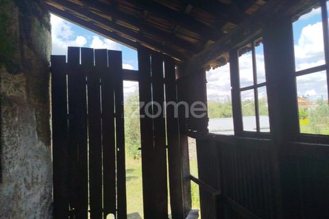 Villa i Oliveira do Conde, Viseu, Oliveira do Conde - € 22.999 | Ref: ZMPT577576 - foto 22