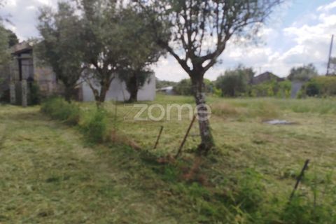 Villa i Oliveira do Conde, Viseu, Oliveira do Conde - € 22.999 | Ref: ZMPT577576 - foto 23