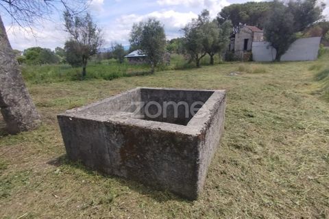 Villa i Oliveira do Conde, Viseu, Oliveira do Conde - € 22.999 | Ref: ZMPT577576 - foto 24