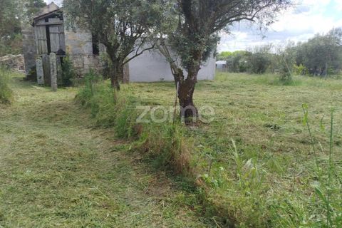Villa i Oliveira do Conde, Viseu, Oliveira do Conde - € 22.999 | Ref: ZMPT577576 - foto 26