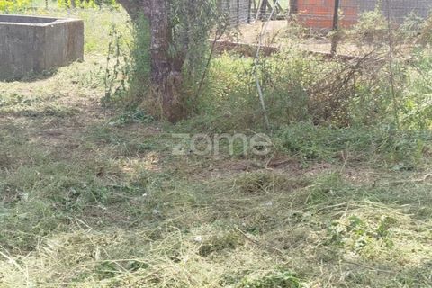 Villa i Oliveira do Conde, Viseu, Oliveira do Conde - € 22.999 | Ref: ZMPT577576 - foto 27