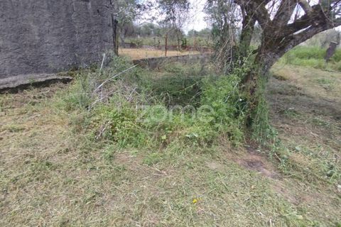 Villa i Oliveira do Conde, Viseu, Oliveira do Conde - € 22.999 | Ref: ZMPT577576 - foto 28