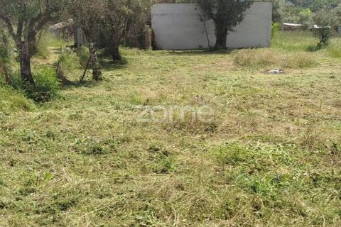 Villa i Oliveira do Conde, Viseu, Oliveira do Conde - € 22.999 | Ref: ZMPT577576 - foto 29
