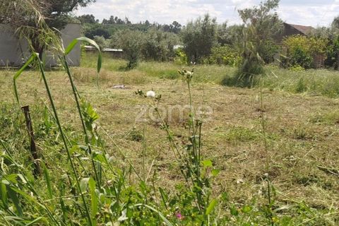 Villa i Oliveira do Conde, Viseu, Oliveira do Conde - € 22.999 | Ref: ZMPT577576 - foto 30