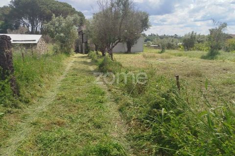 Villa i Oliveira do Conde, Viseu, Oliveira do Conde - € 22.999 | Ref: ZMPT577576 - foto 31