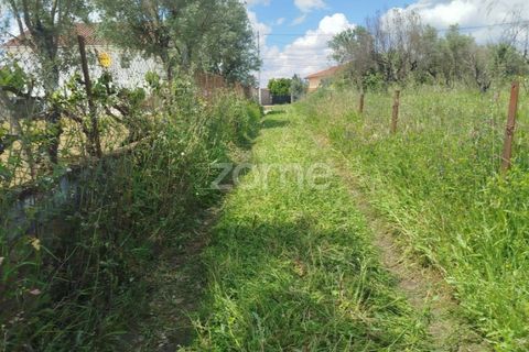 Villa i Oliveira do Conde, Viseu, Oliveira do Conde - € 22.999 | Ref: ZMPT577576 - foto 32