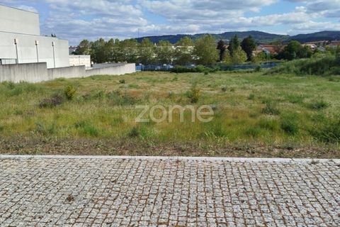 Terra a Moimenta da Beira, Viseu, Moimenta da Beira - € 180.000 | Ref: ZMPT577579 - foto 40