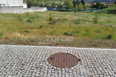 Terra a Moimenta da Beira, Viseu, Moimenta da Beira - € 180.000 | Ref: ZMPT577579 - foto 38