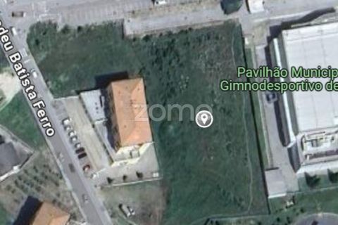 Terra a Moimenta da Beira, Viseu, Moimenta da Beira - € 180.000 | Ref: ZMPT577579 - foto 5