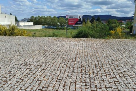 Terra a Moimenta da Beira, Viseu, Moimenta da Beira - € 180.000 | Ref: ZMPT577579 - foto 7