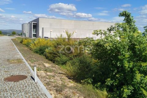 Terra a Moimenta da Beira, Viseu, Moimenta da Beira - € 180.000 | Ref: ZMPT577579 - foto 11