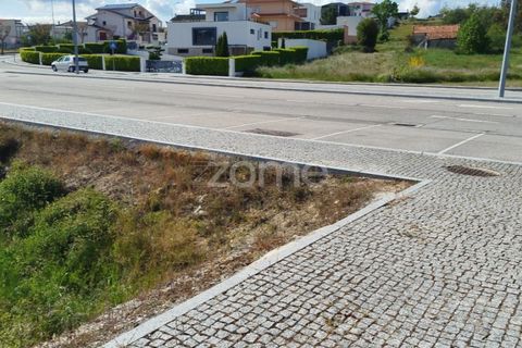 Terra a Moimenta da Beira, Viseu, Moimenta da Beira - € 180.000 | Ref: ZMPT577579 - foto 12