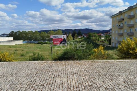 Terra a Moimenta da Beira, Viseu, Moimenta da Beira - € 180.000 | Ref: ZMPT577579 - foto 13