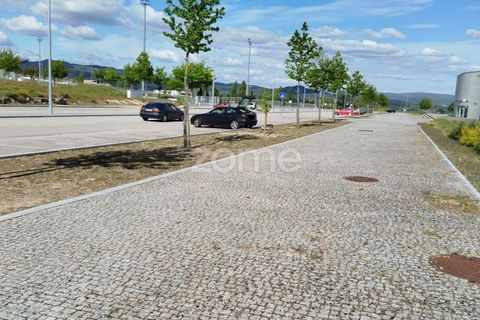 Terra a Moimenta da Beira, Viseu, Moimenta da Beira - € 180.000 | Ref: ZMPT577579 - foto 14