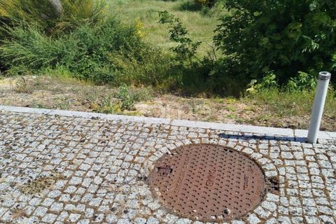 Terra a Moimenta da Beira, Viseu, Moimenta da Beira - € 180.000 | Ref: ZMPT577579 - foto 19