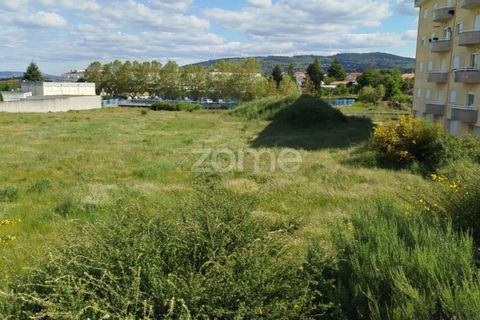 Terra a Moimenta da Beira, Viseu, Moimenta da Beira - € 180.000 | Ref: ZMPT577579 - foto 21