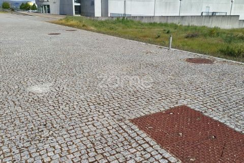 Terra a Moimenta da Beira, Viseu, Moimenta da Beira - € 180.000 | Ref: ZMPT577579 - foto 27
