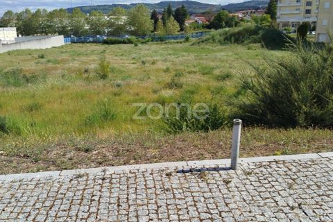 Terra a Moimenta da Beira, Viseu, Moimenta da Beira - € 180.000 | Ref: ZMPT577579 - foto 29