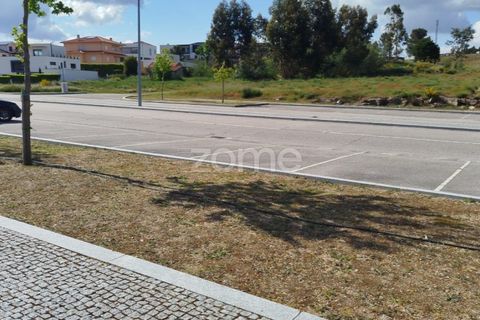 Terra a Moimenta da Beira, Viseu, Moimenta da Beira - € 180.000 | Ref: ZMPT577579 - foto 32